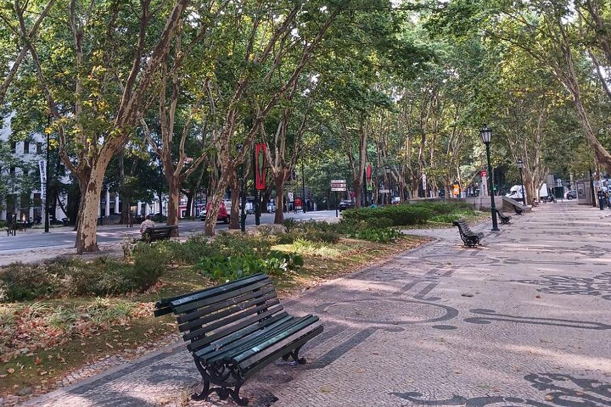a park with benches and trees on a street