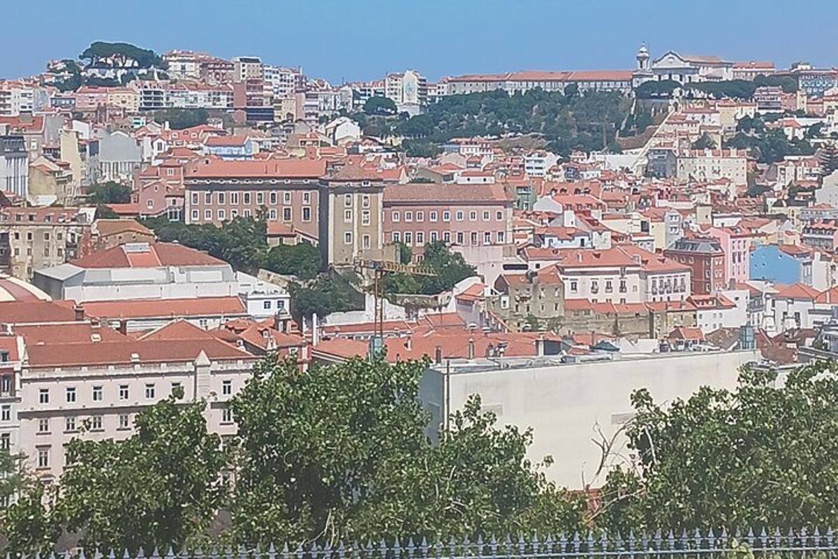 a view of a city with buildings and trees