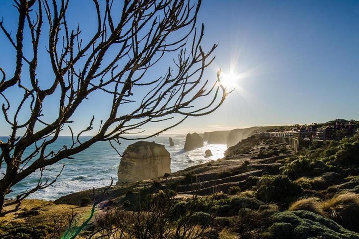 udsigt over en strand med havet og klipperne