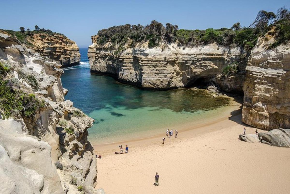 um grupo de pessoas em pé em uma praia perto do oceano