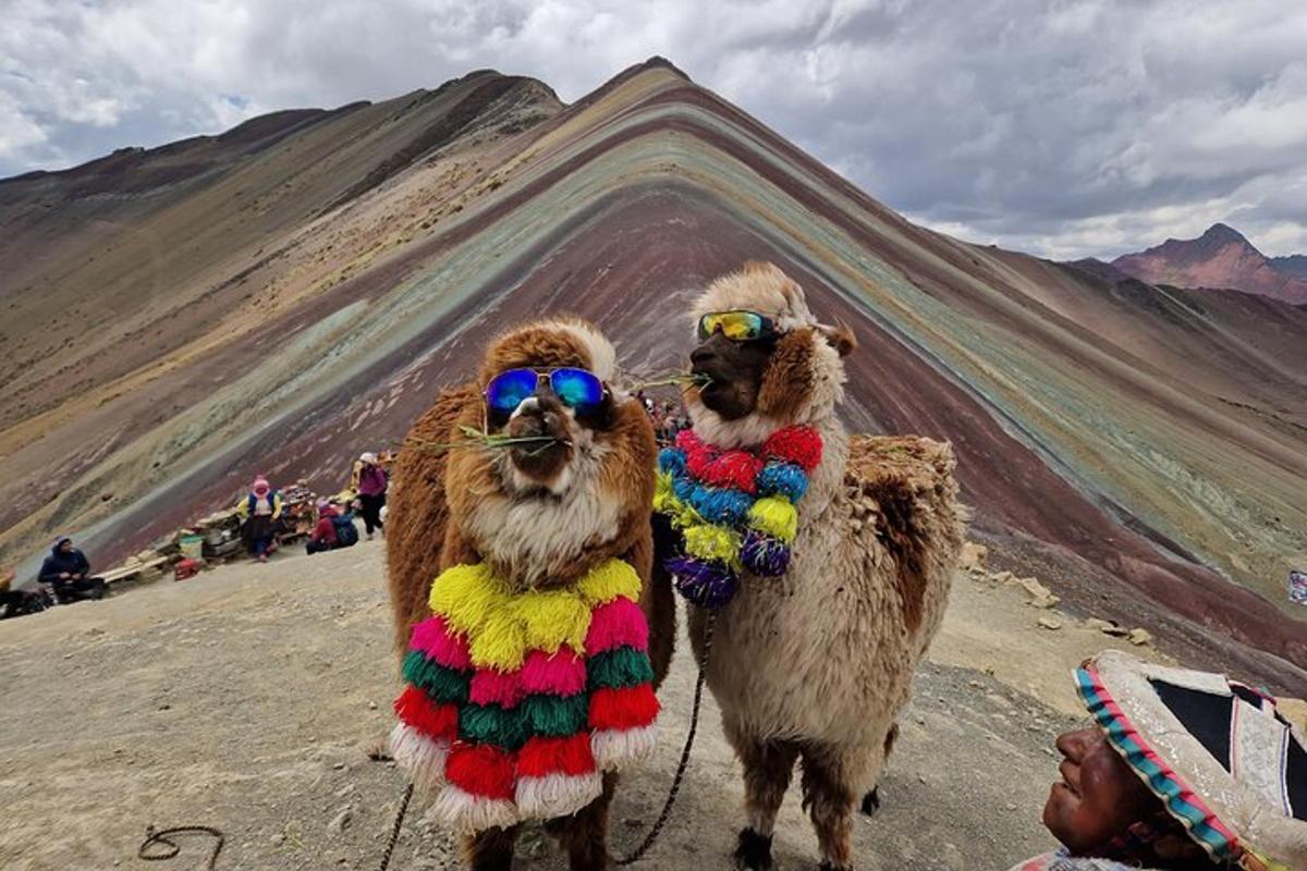 two animals dressed in costumes standing in front of a mountain
