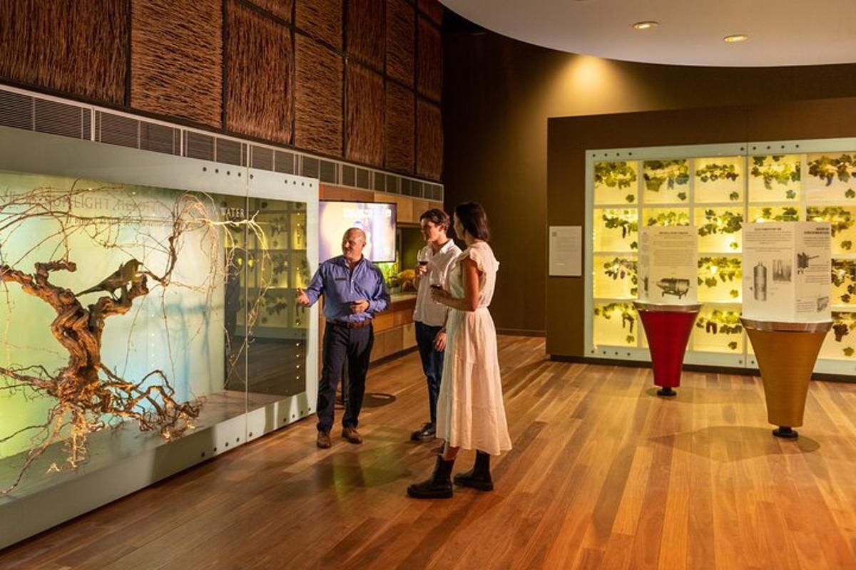 un gruppo di persone che guardano le mostre in un museo