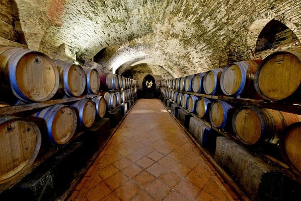 una fila di botti di vino in un tunnel