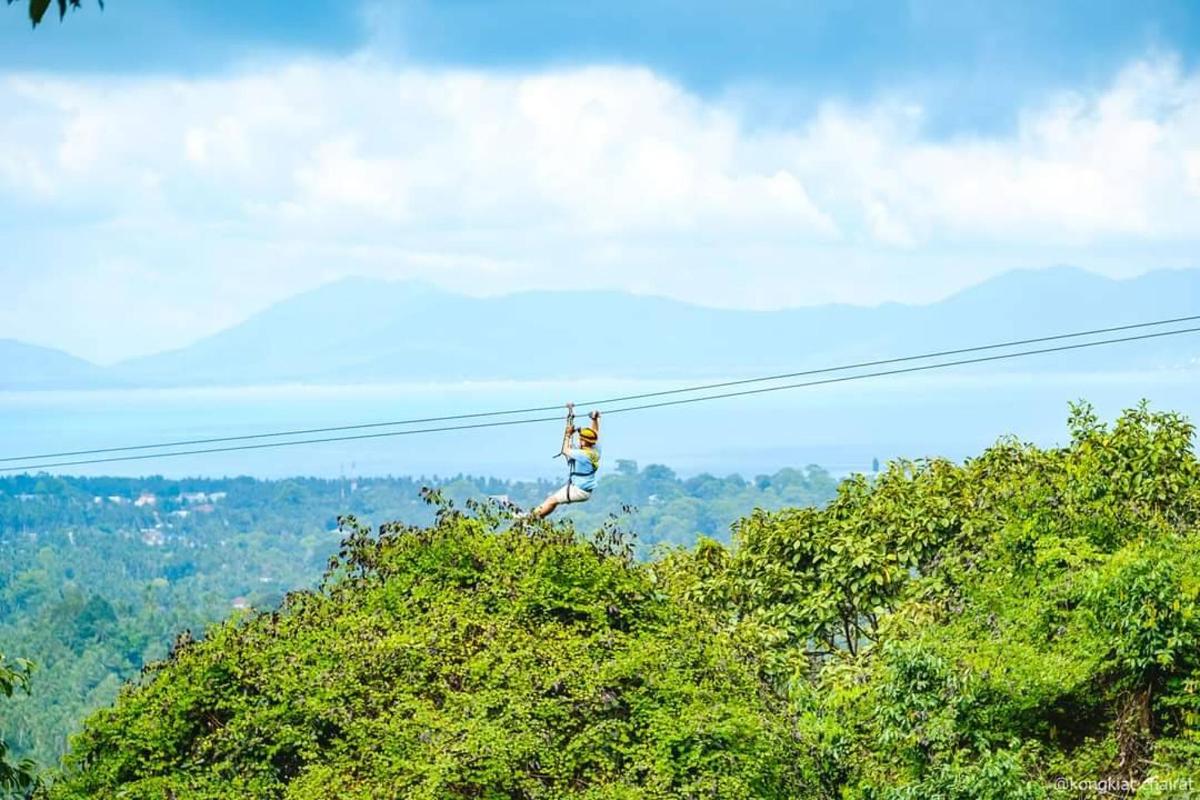 a person walking on a zip line in the jungle