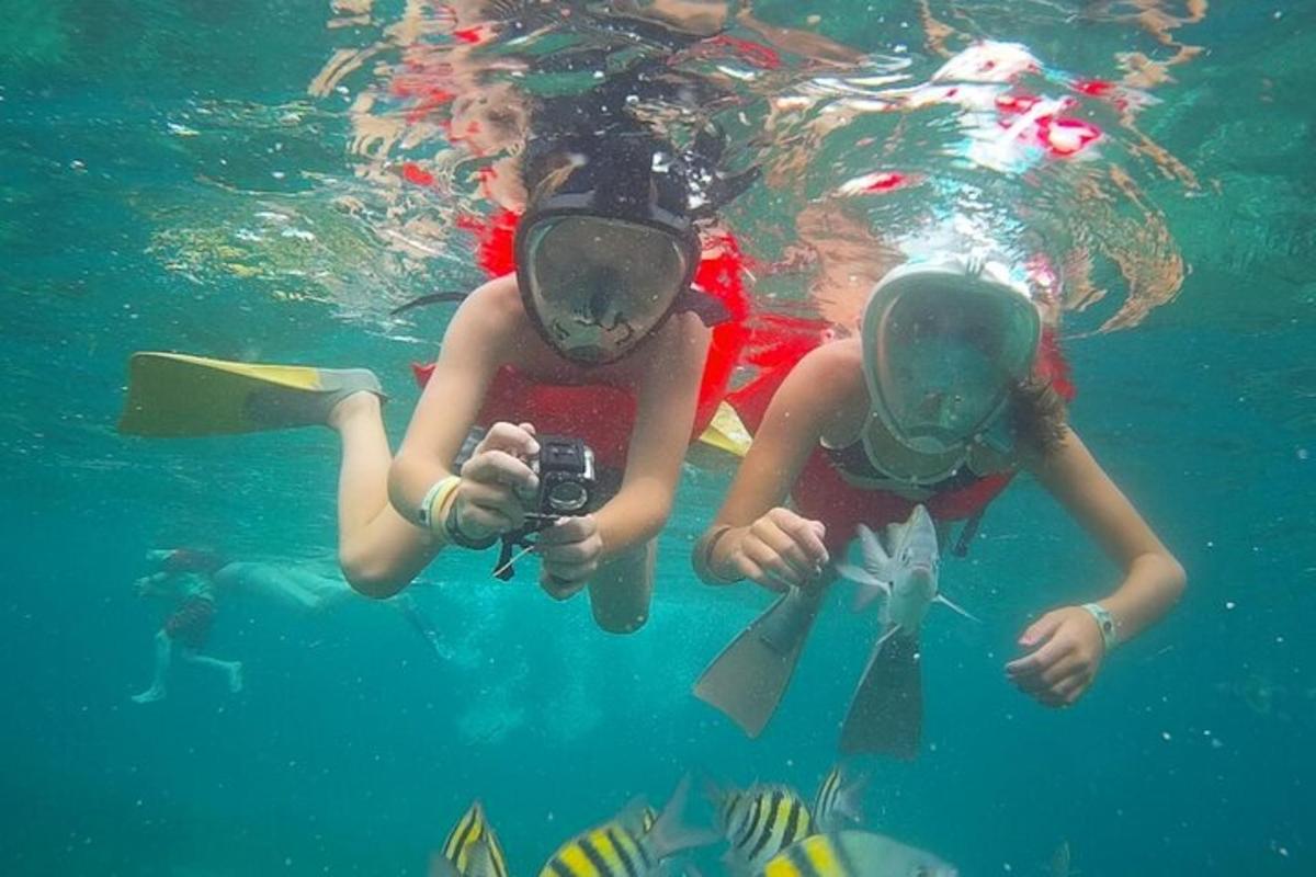 duas pessoas na água tirando fotos de peixes