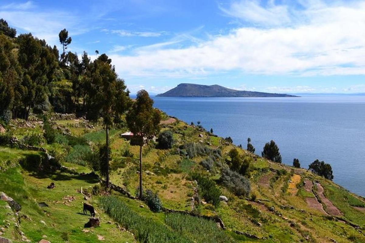 bukit berumput dengan pemandangan lautan