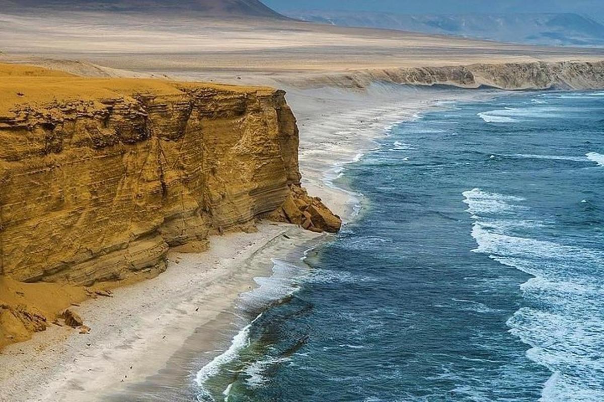 pemandangan udara pantai berpasir di sebelah lautan