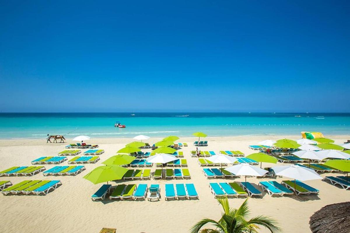 una spiaggia con ombrelloni e sedie e l'oceano
