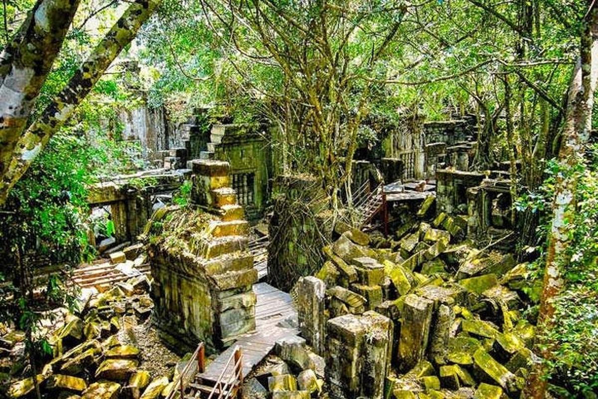 un mucchio di rocce in una foresta con alberi