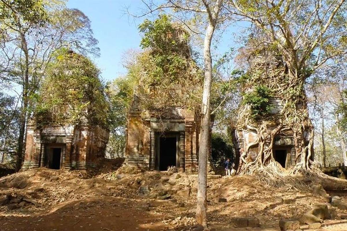 un vecchio edificio in pietra in mezzo a una foresta