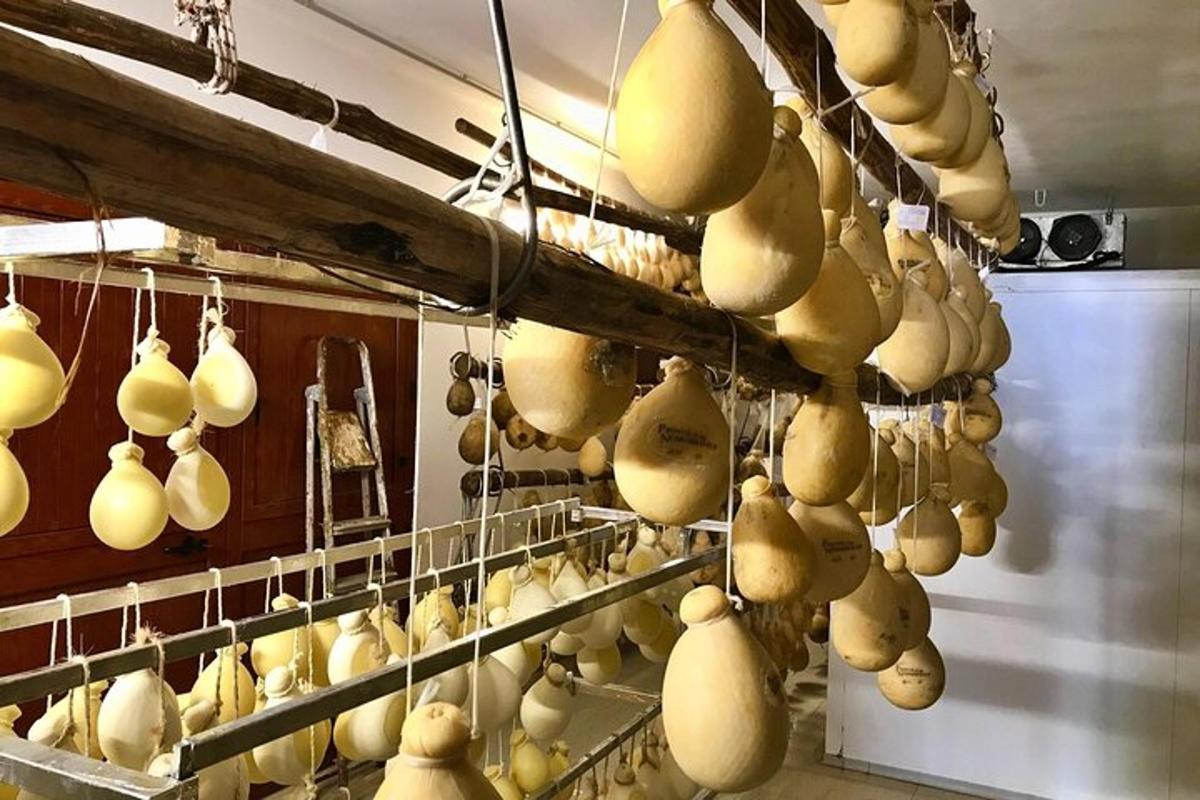 Foto dell’attrazione numero 5