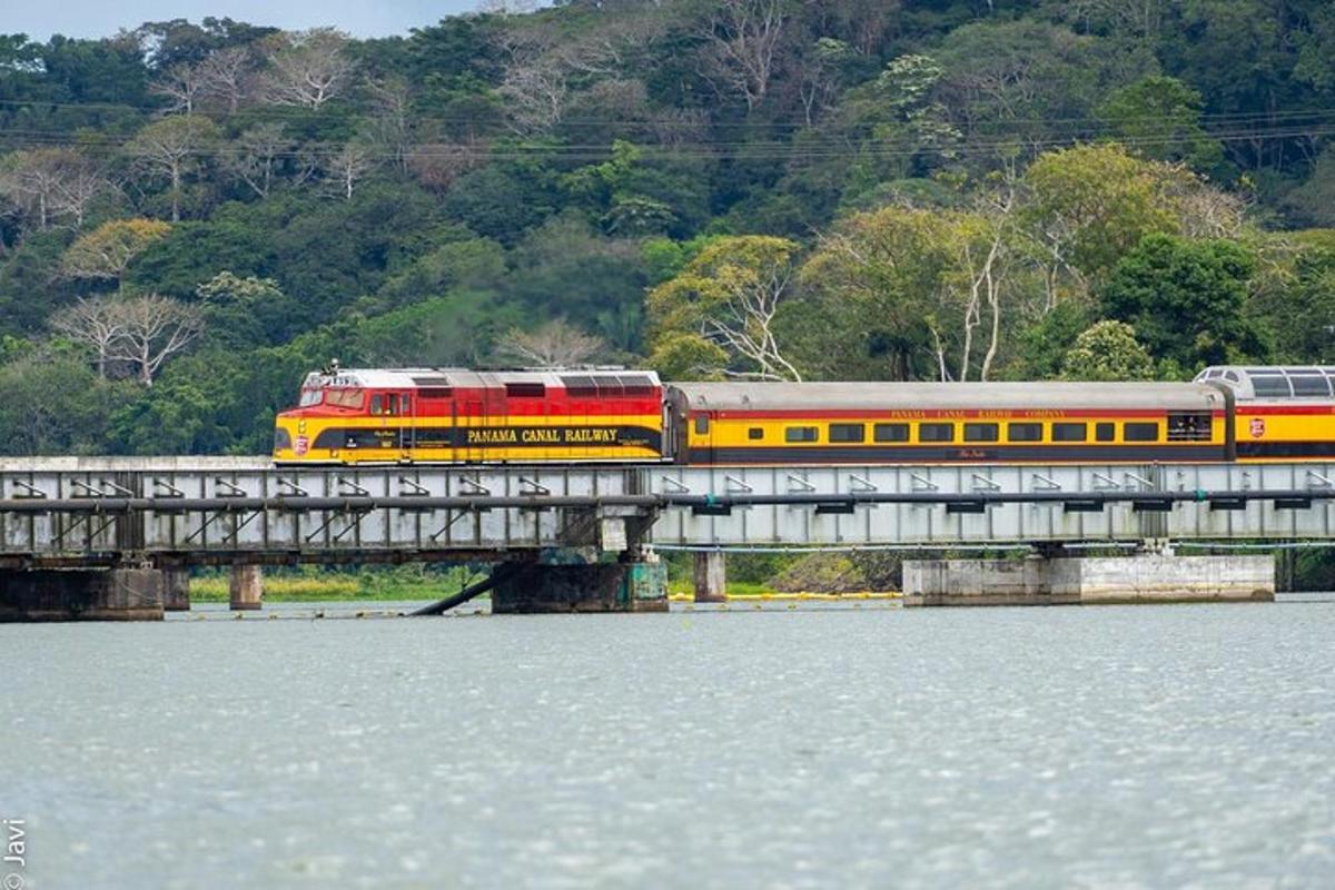 un tren en un puente sobre un cuerpo de agua