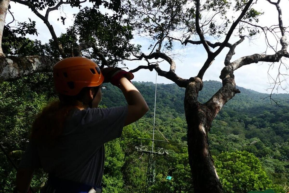 Un hombre con un casco naranja está colgado de un árbol.