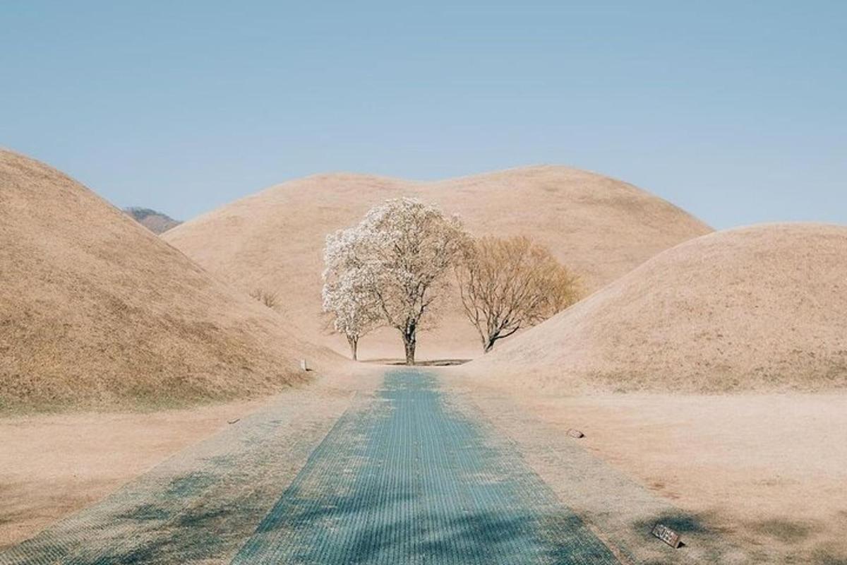a dirt road with two trees and two hills