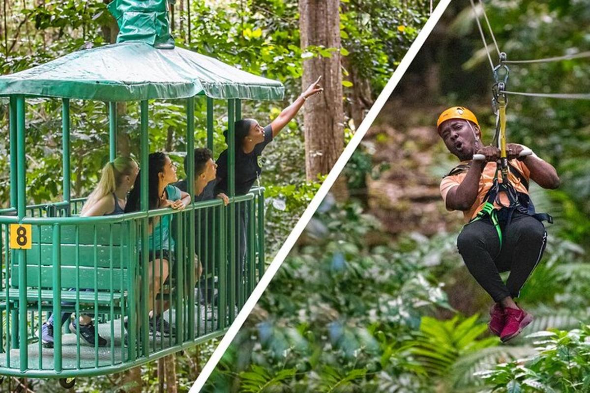 a group of people on a zip line in the jungle