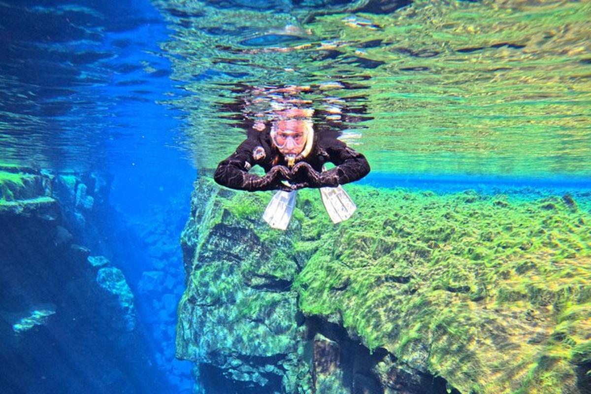 людина, що плаває у воді в акваріумі