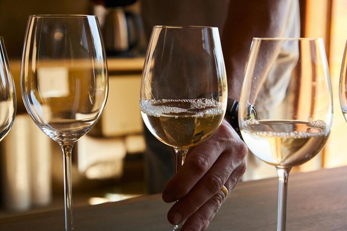 una persona che tiene in mano due bicchieri di vino bianco