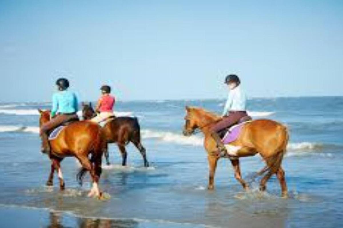 un grup de persones muntant a cavall a la platja