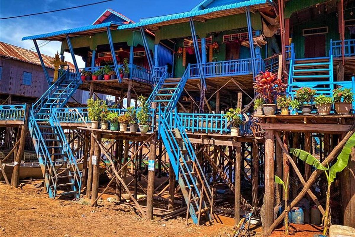 sebuah rumah biru dengan tumbuhan di atas meja di hadapannya