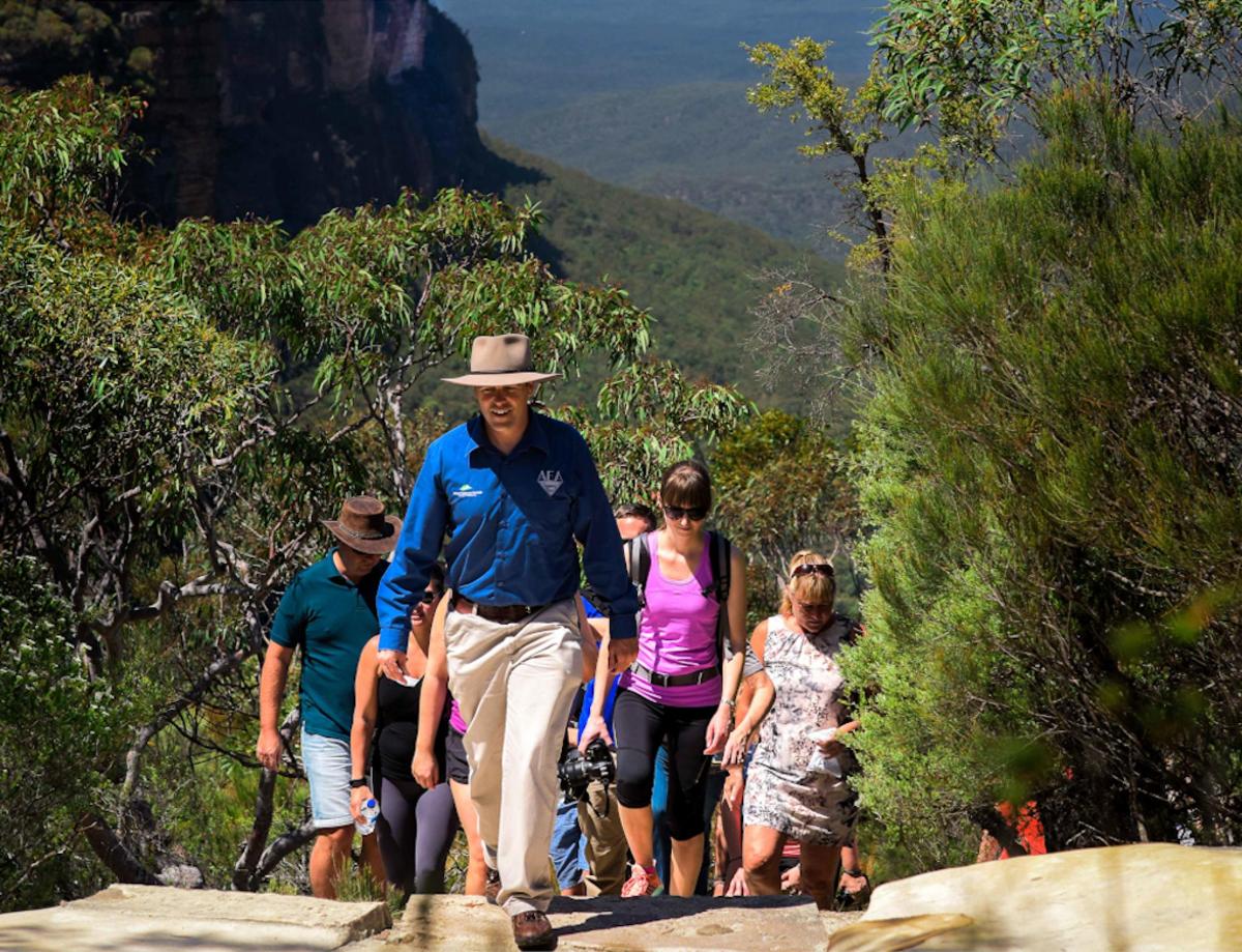 a group of people walking down a trail