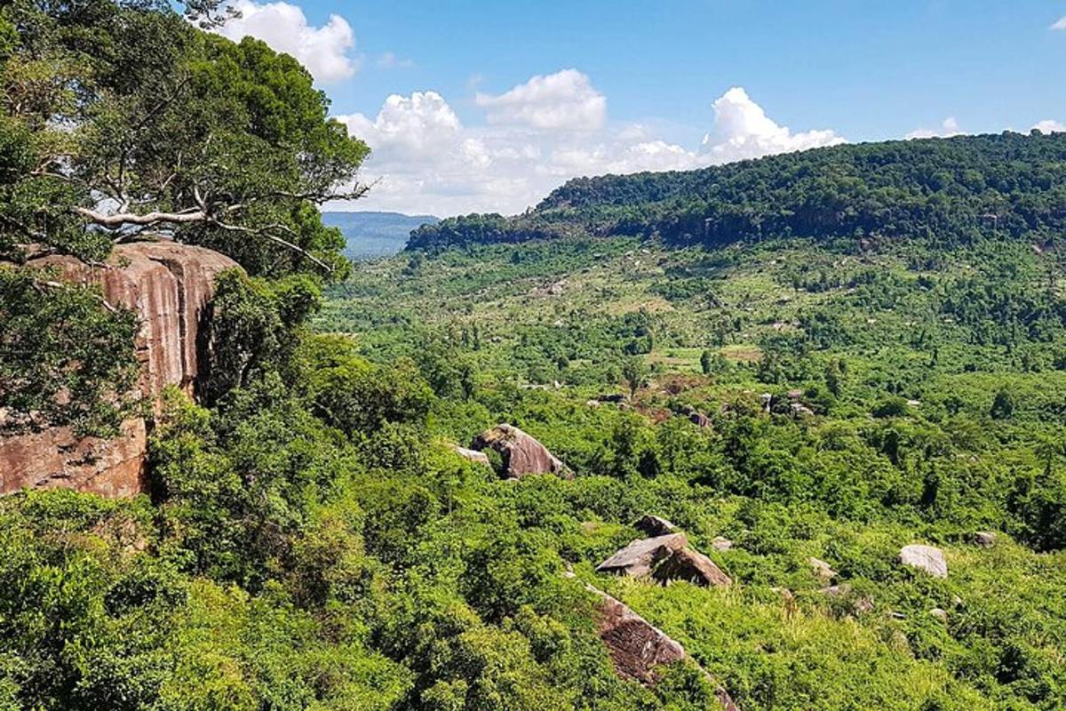 uma vista de uma montanha com árvores e pedras