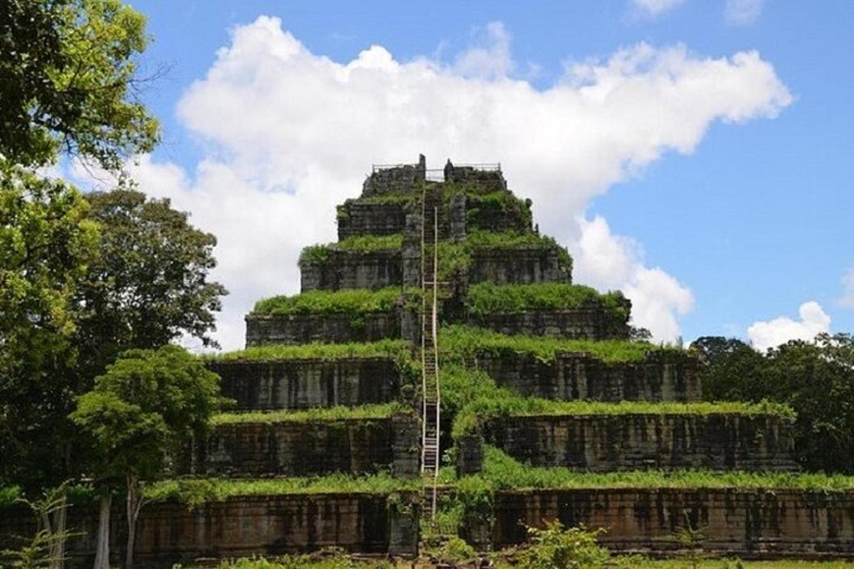 un grande edificio ricoperto di edera verde