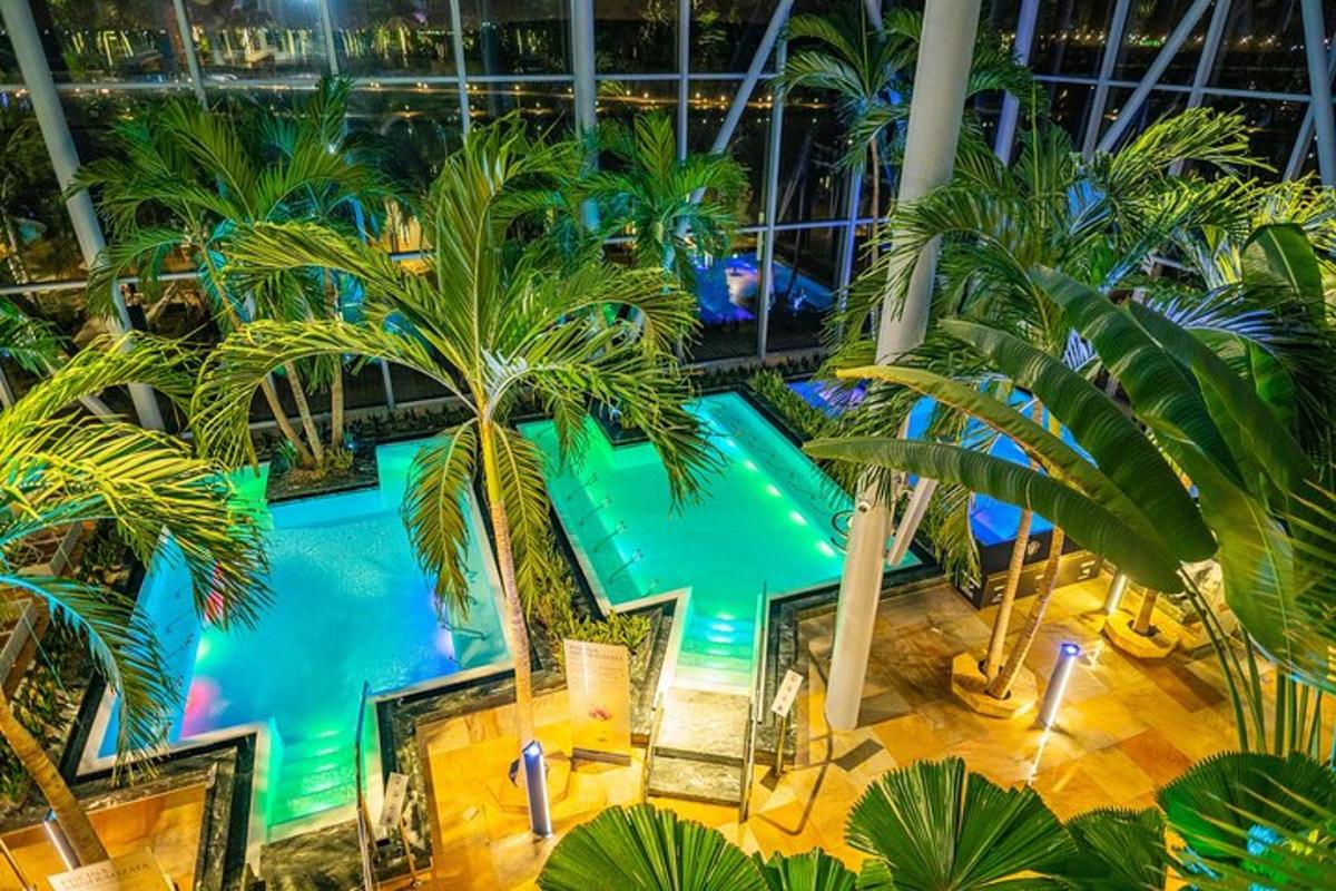 vista superior d'una piscina en un edifici amb palmeres