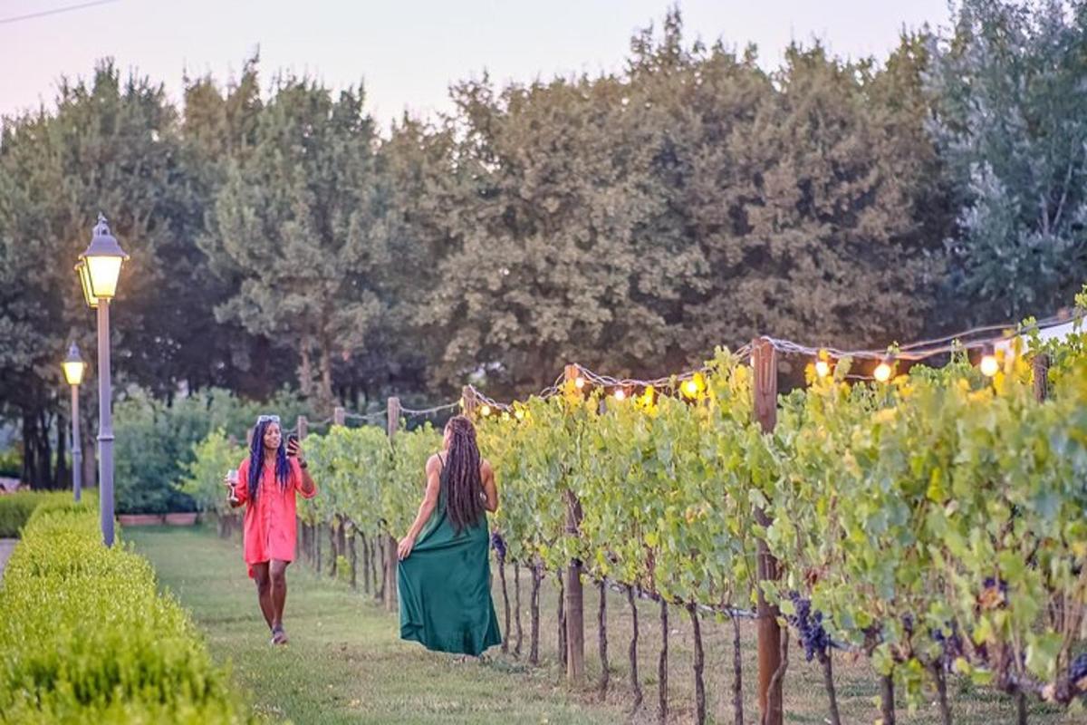 due donne che camminano tra una fila di uva da vino