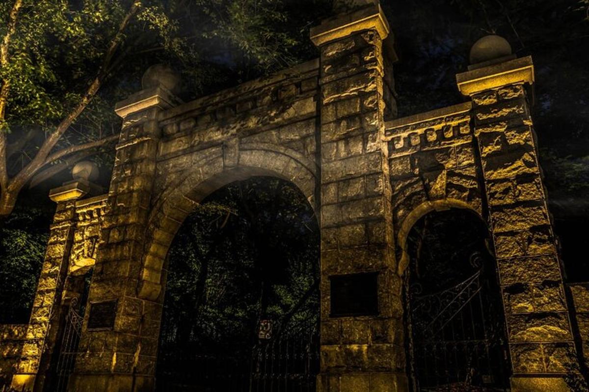 a stone archway with a fence at night