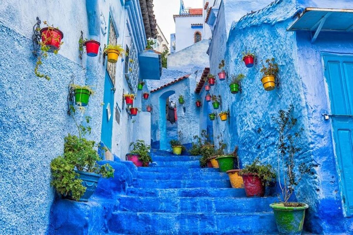 una escala a la ciutat blava de Chefchaouen amb plantes en test