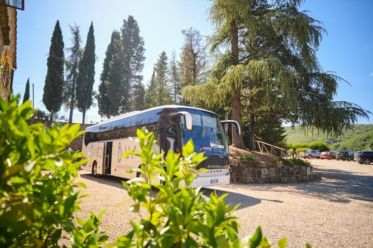 buss on pargitud parklasse