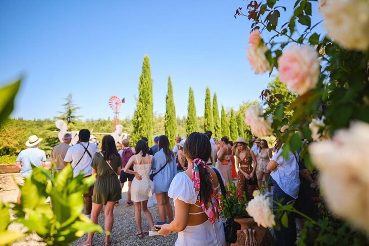 grupp inimesi, kes kõnnivad läbi viinamarjaistanduse