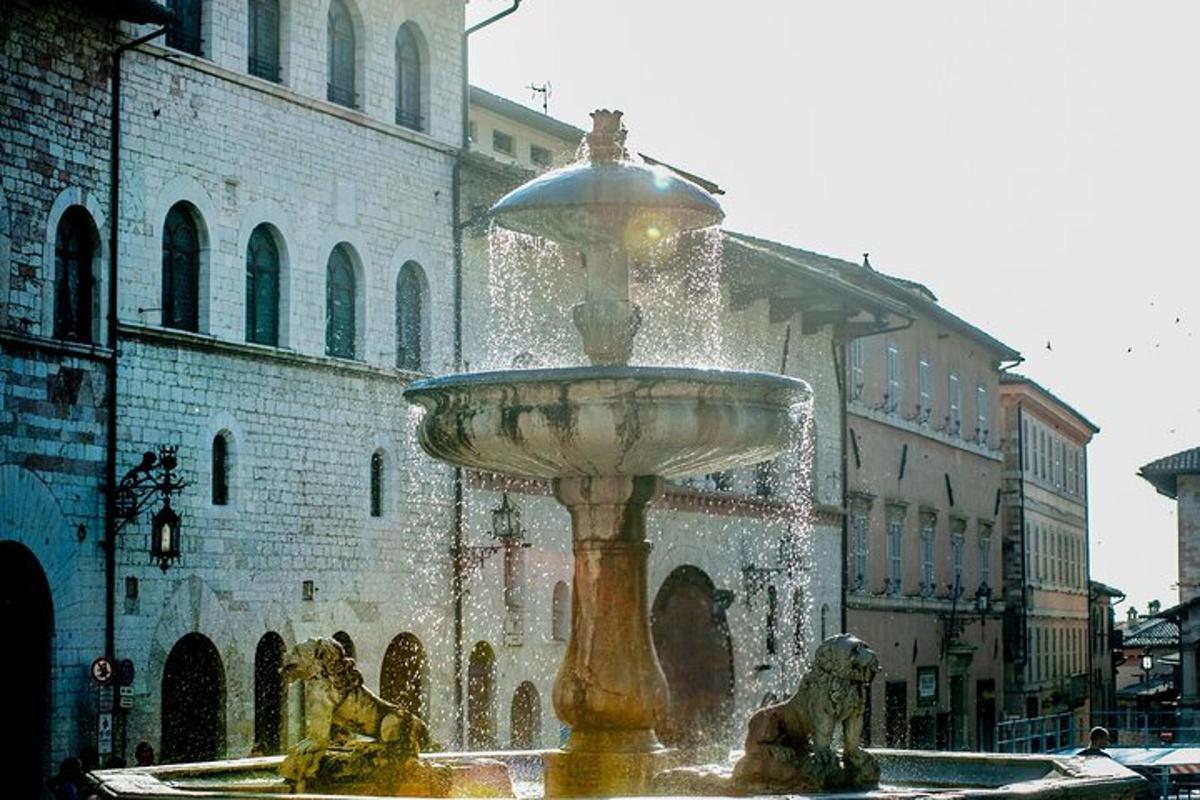 fontana usred grada