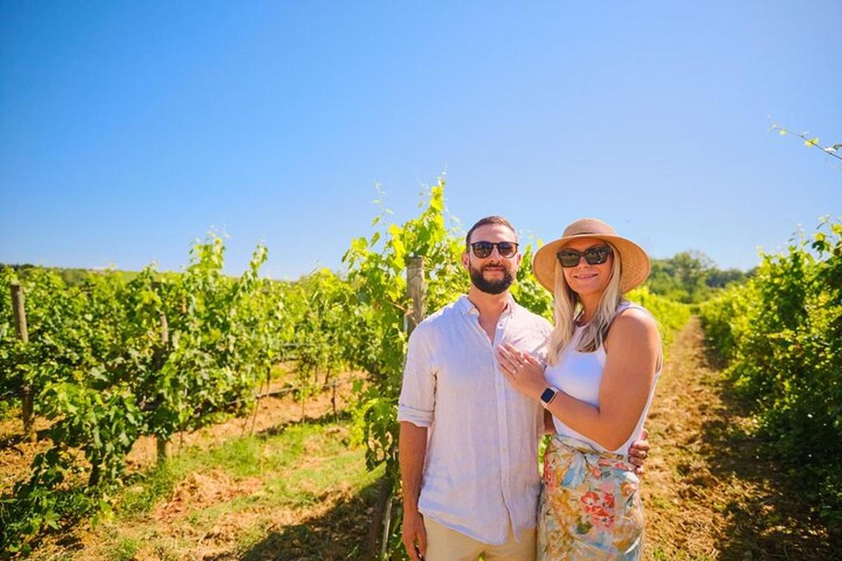 muž a žena stojící ve vinici