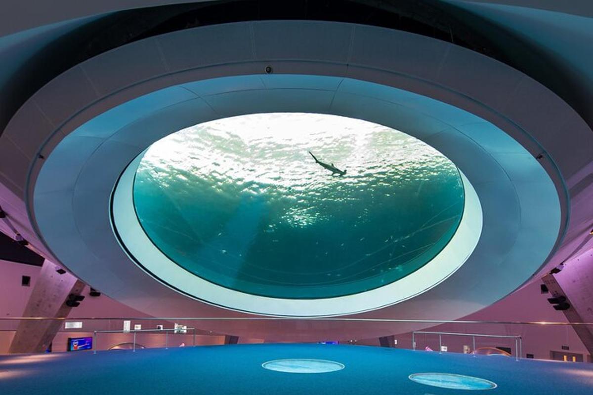 an aquarium with a large window in the ceiling