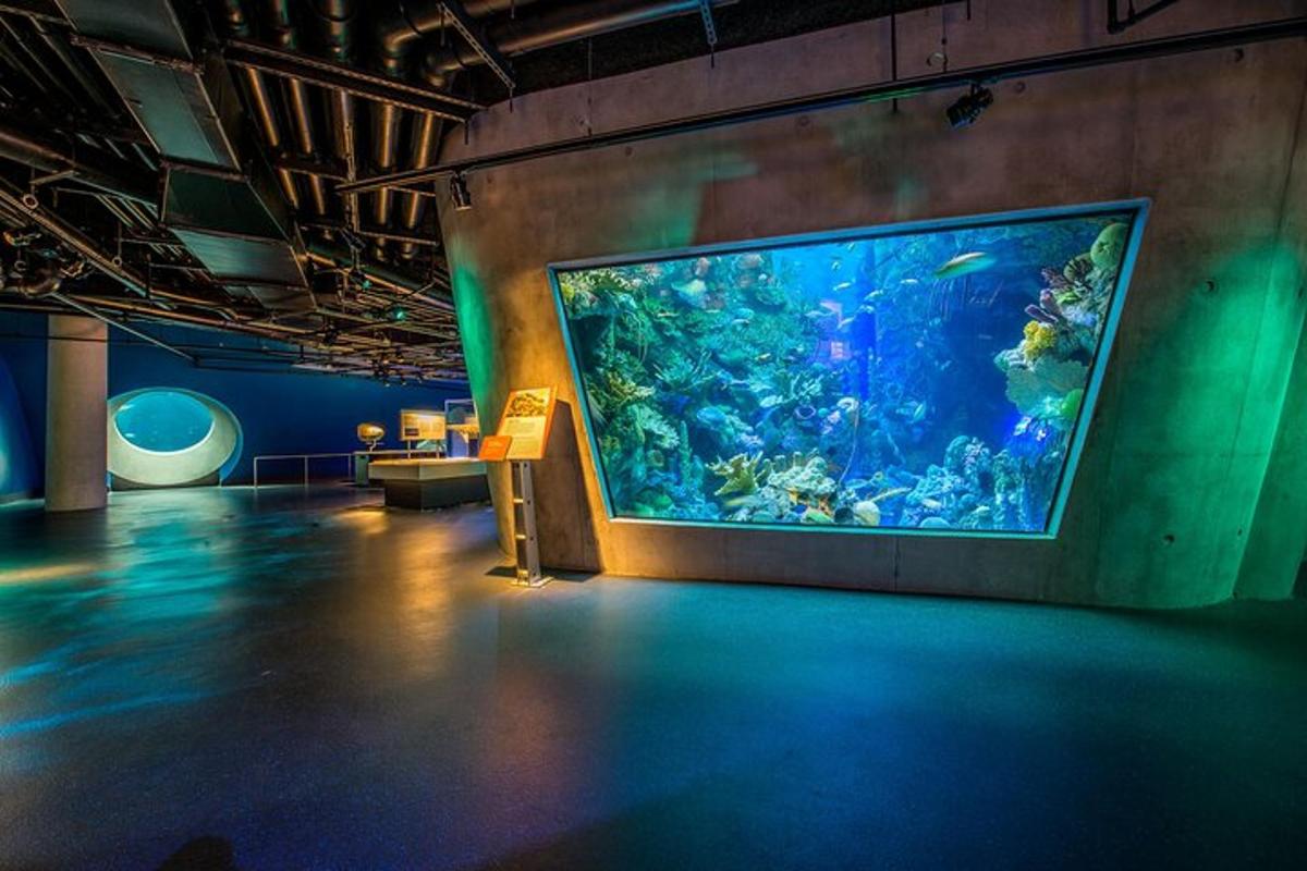 a large aquarium in a room with a large fish tank