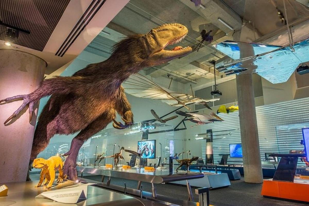 a dinosaur hanging from the ceiling of a museum