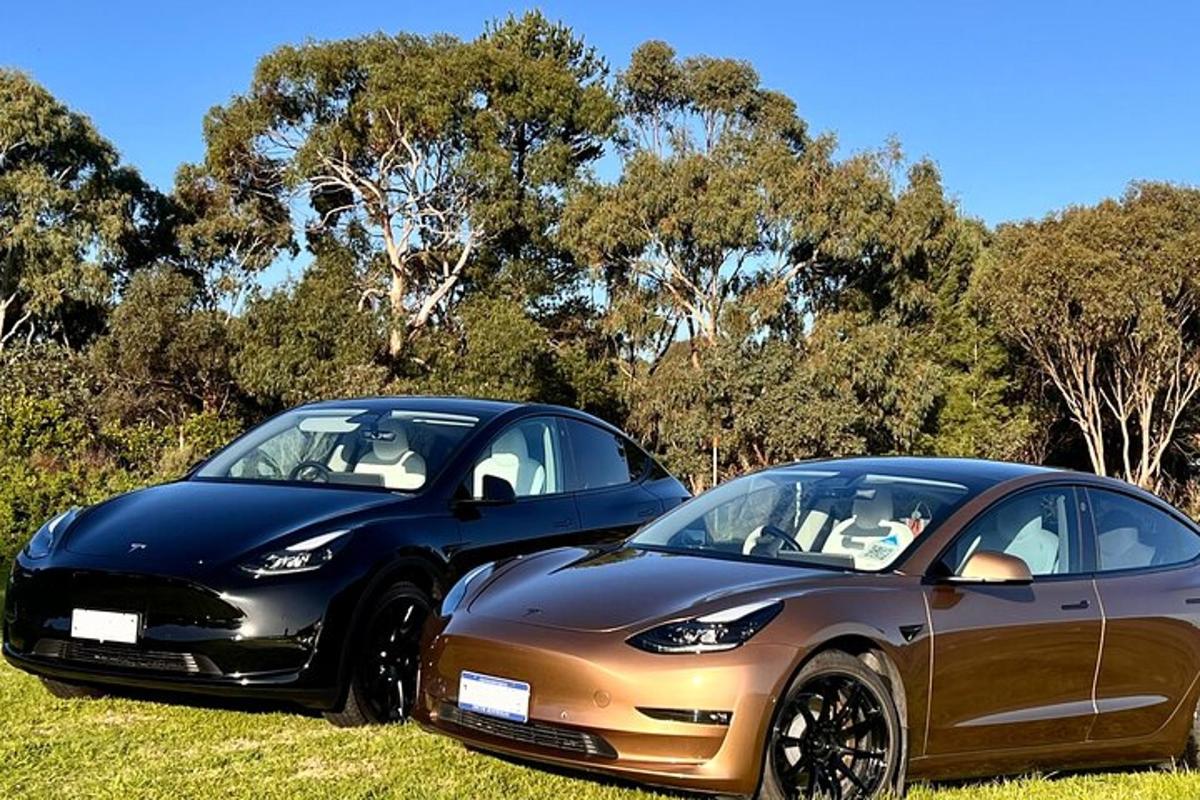 due auto parcheggiate una accanto all'altra in un campo