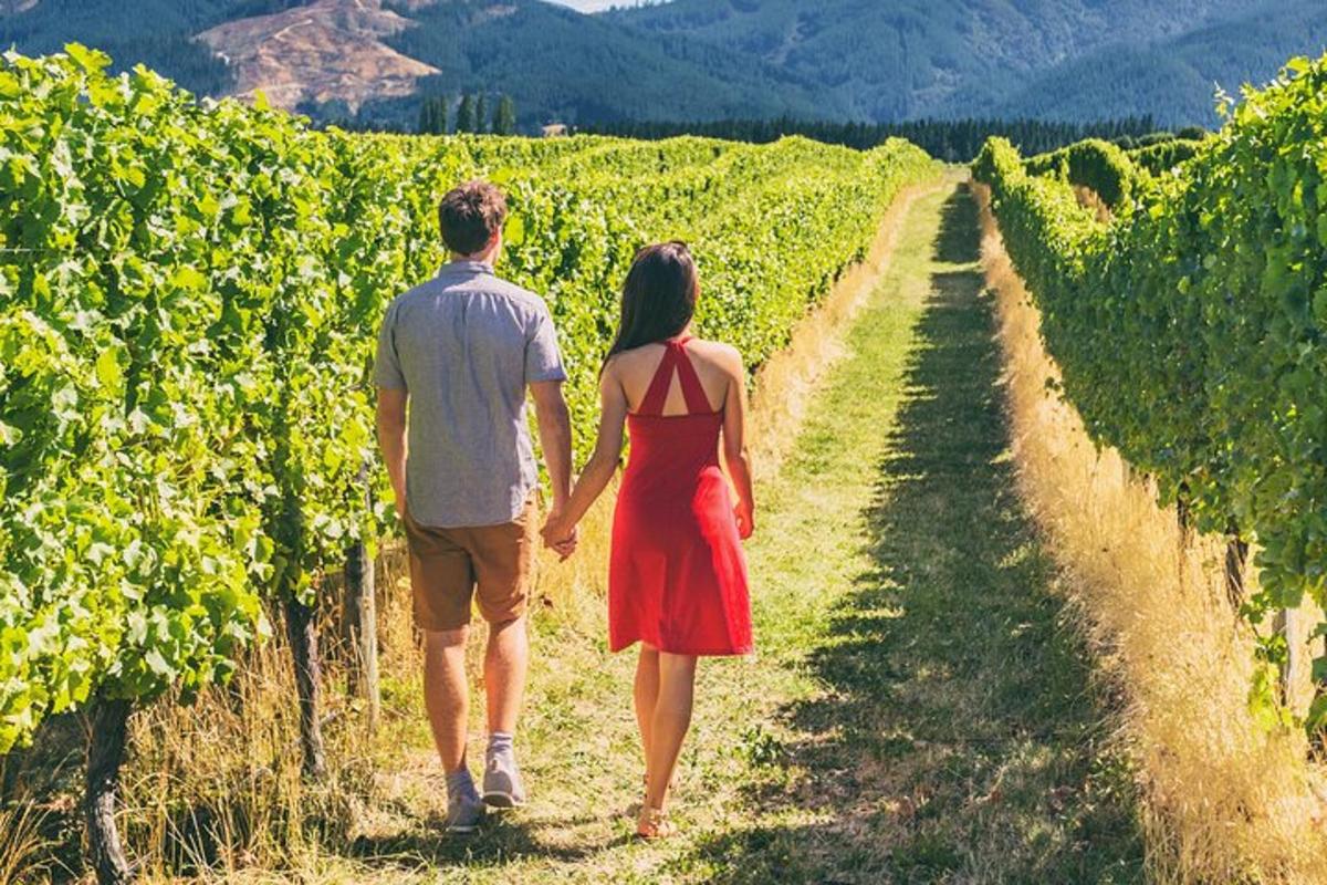 a man and a woman walking through a vineyard