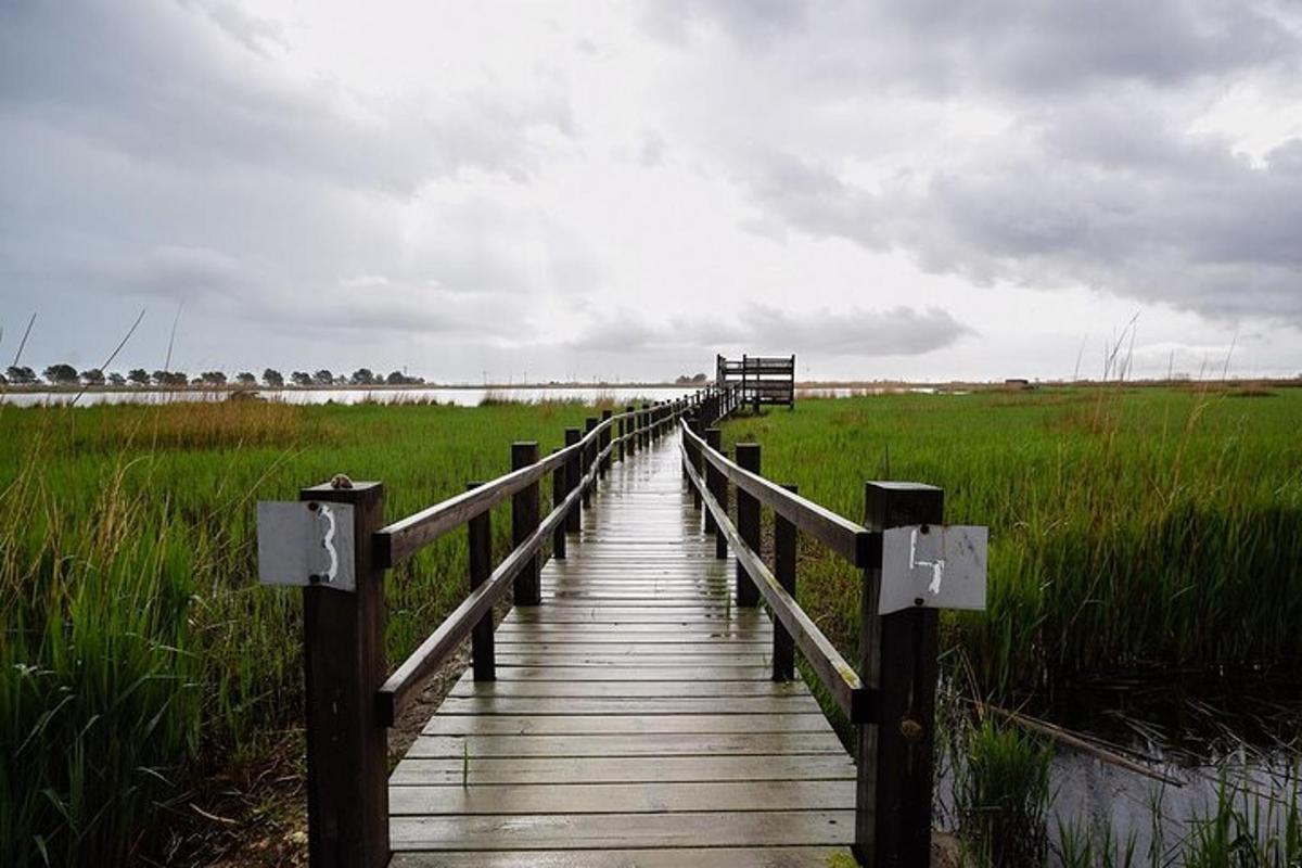 a wooden bridge over a swamp with a field
