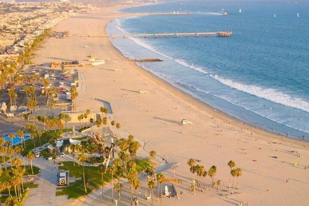 una vista d'una platja amb palmeres i l'oceà