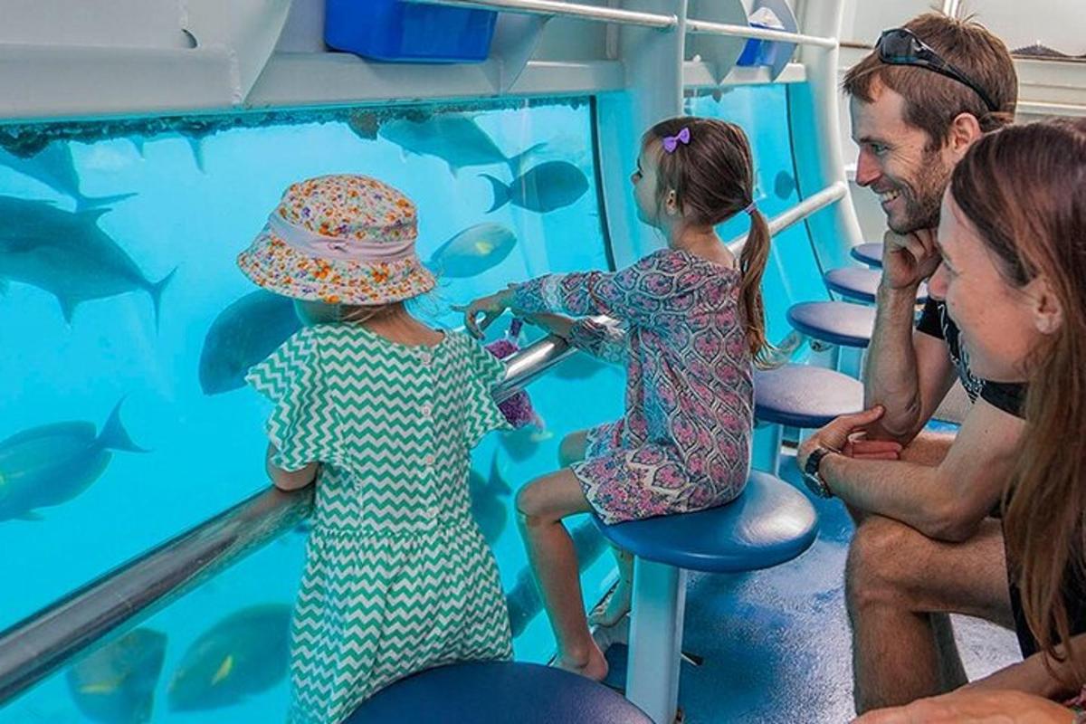 a group of people looking at fish in a aquarium