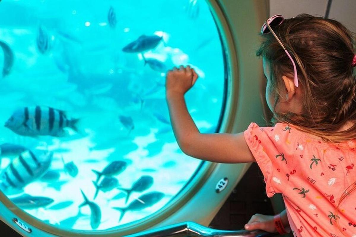 a little girl looking at fish in a aquarium