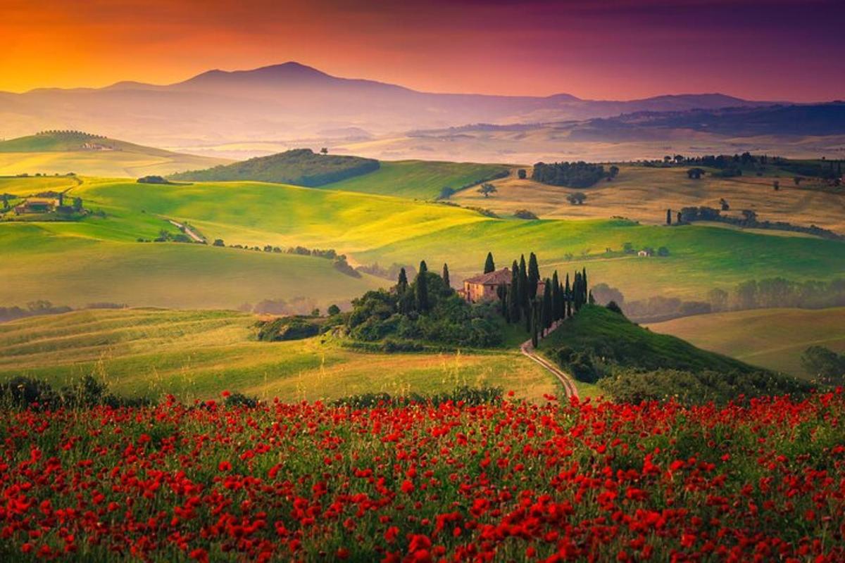 un campo di fiori sulle colline con un castello
