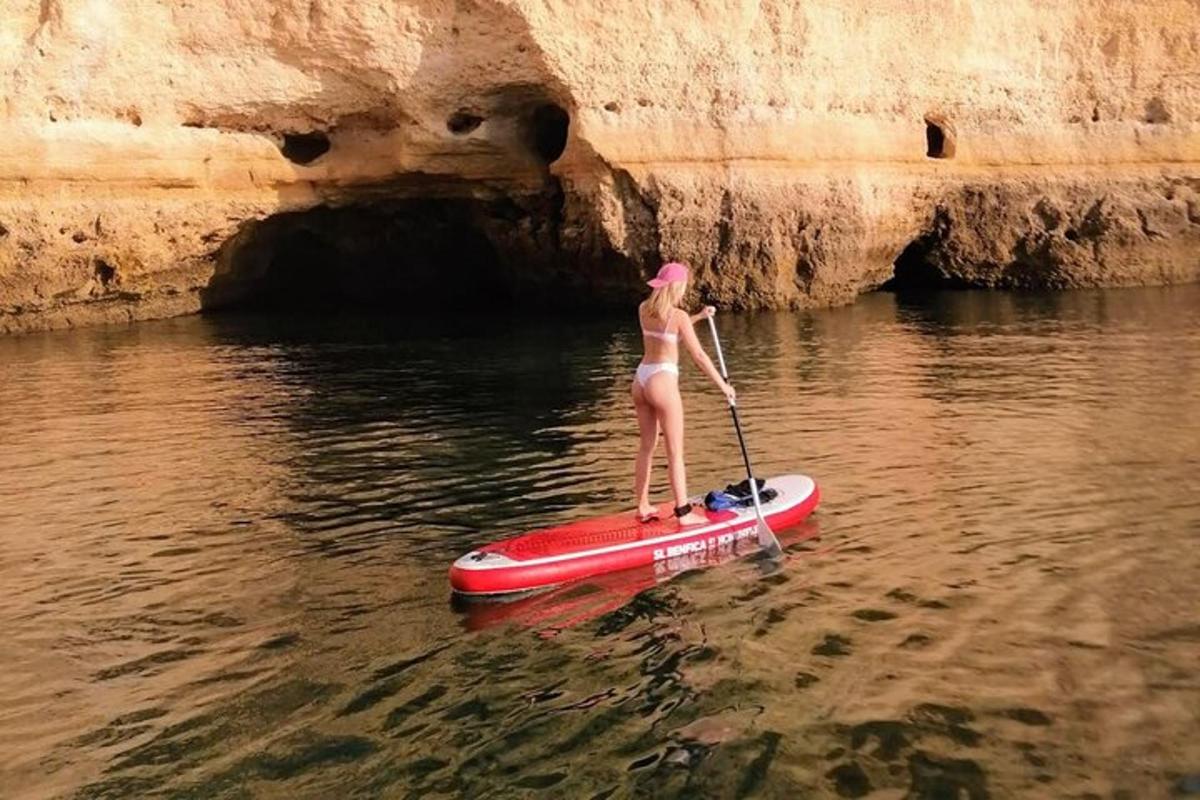 a woman in a bikini on a paddle board in the water