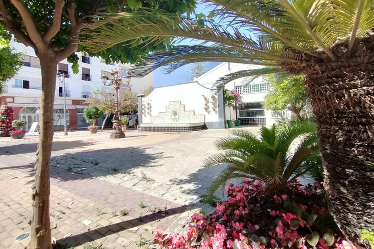 μια αυλή με φοίνικες και λουλούδια μπροστά από ένα κτίριο