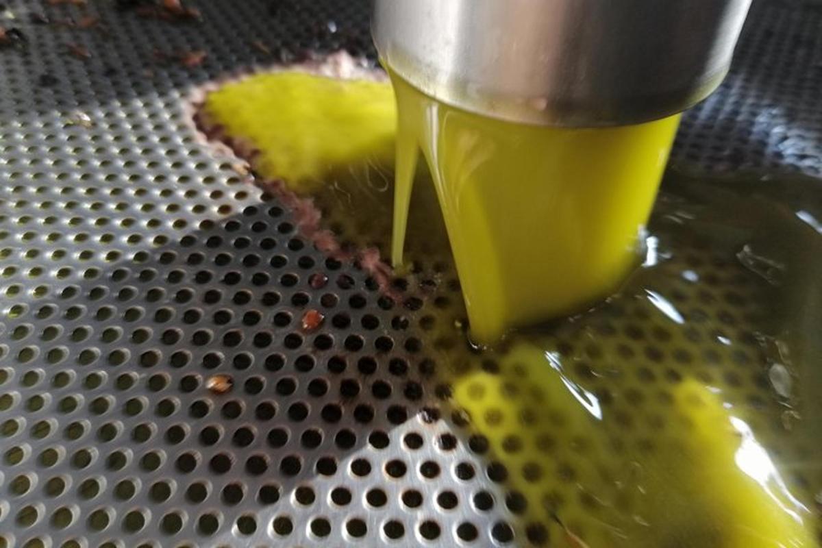 a juicer pouring yellow liquid into a metal container