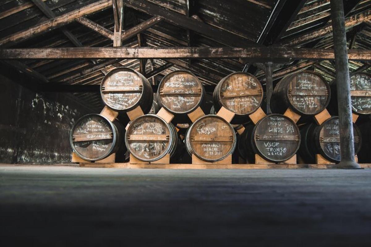 a bunch of wine barrels stacked in a cellar