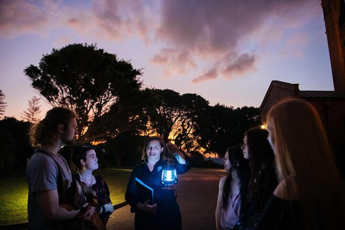 a group of people standing around looking at the sunset