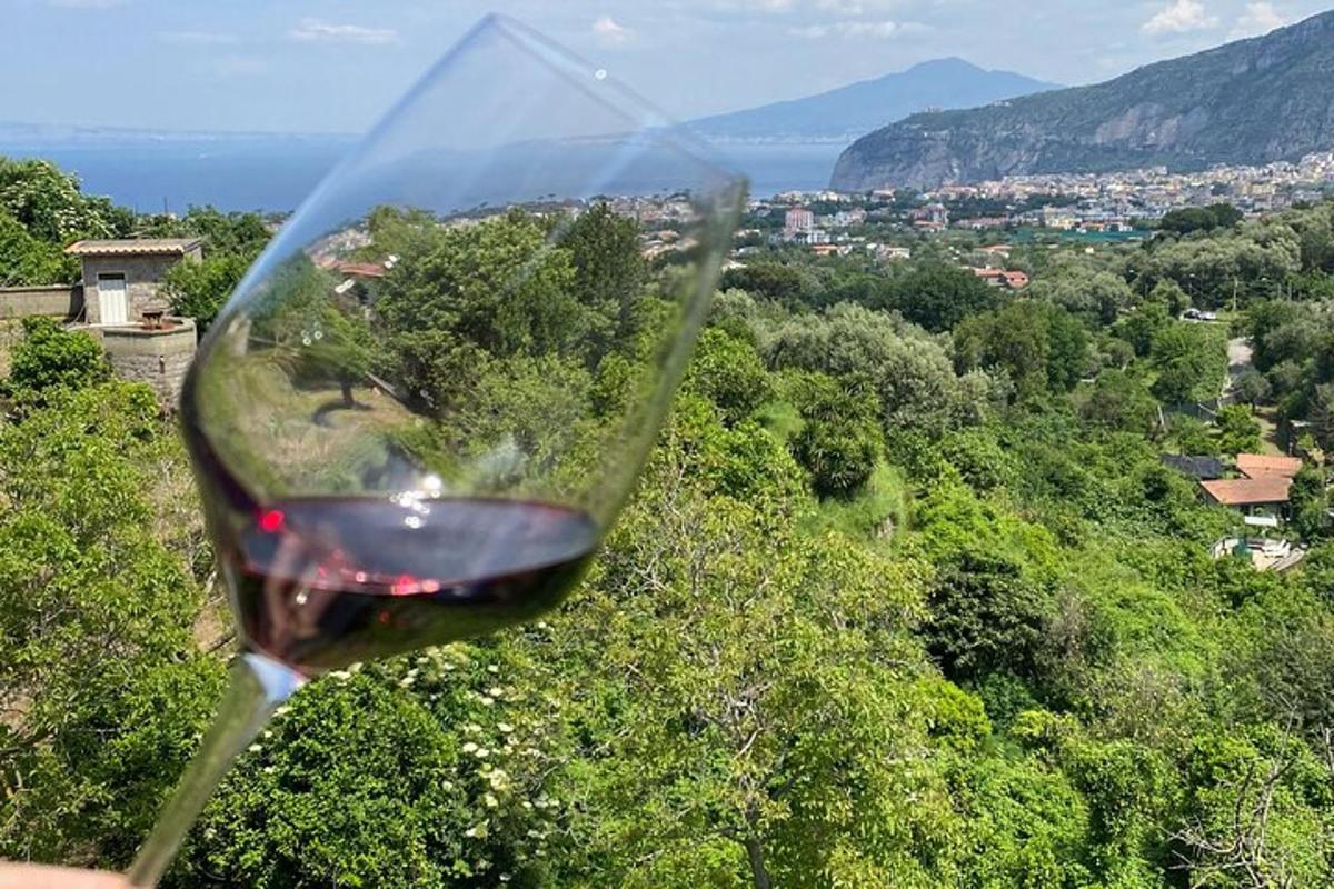 una persona che tiene in mano un bicchiere di vino rosso